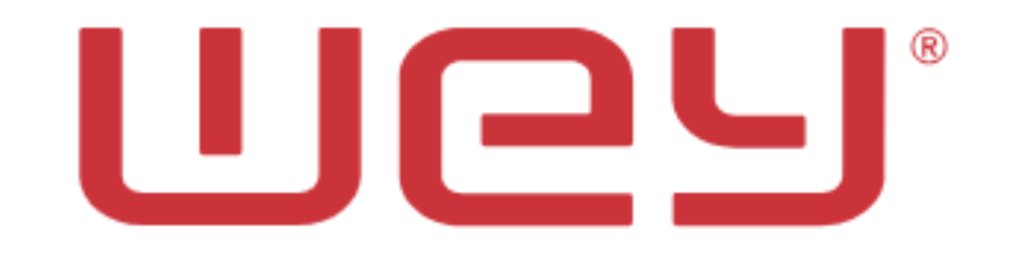 Wey Valve Logo
